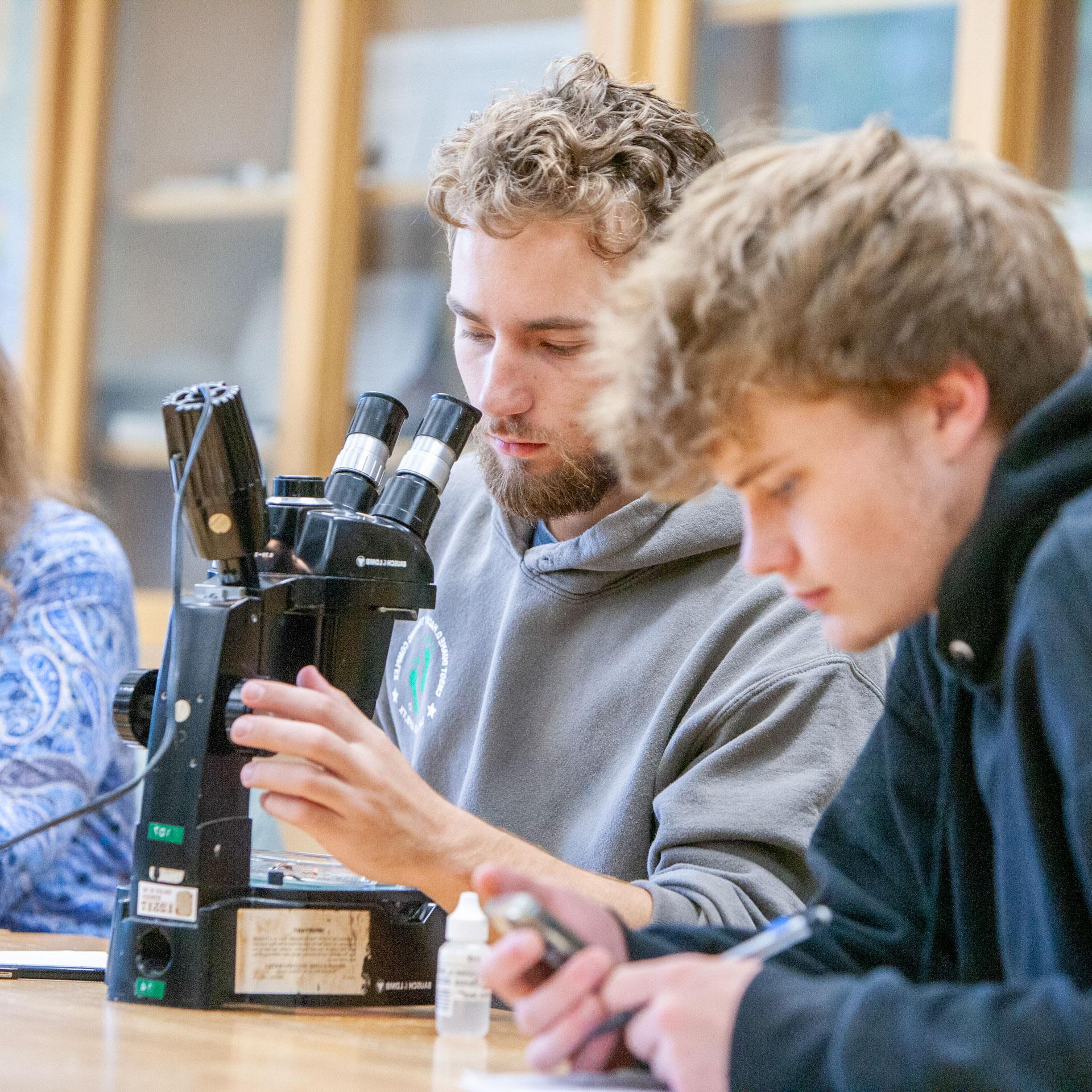 Geology students at the microscope